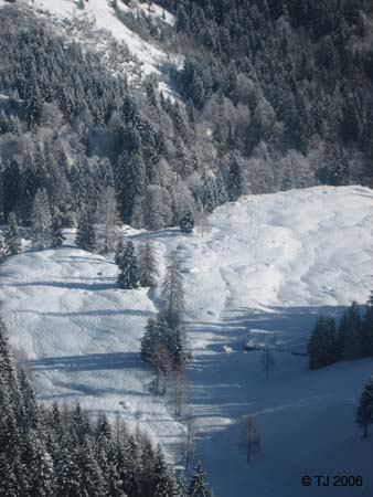 IMG_0249