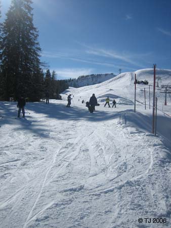 IMG_0259